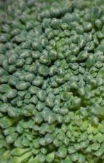 Broccoli - Close Up - I grabbed this from Flickr: http://www.flickr.com/photos/v